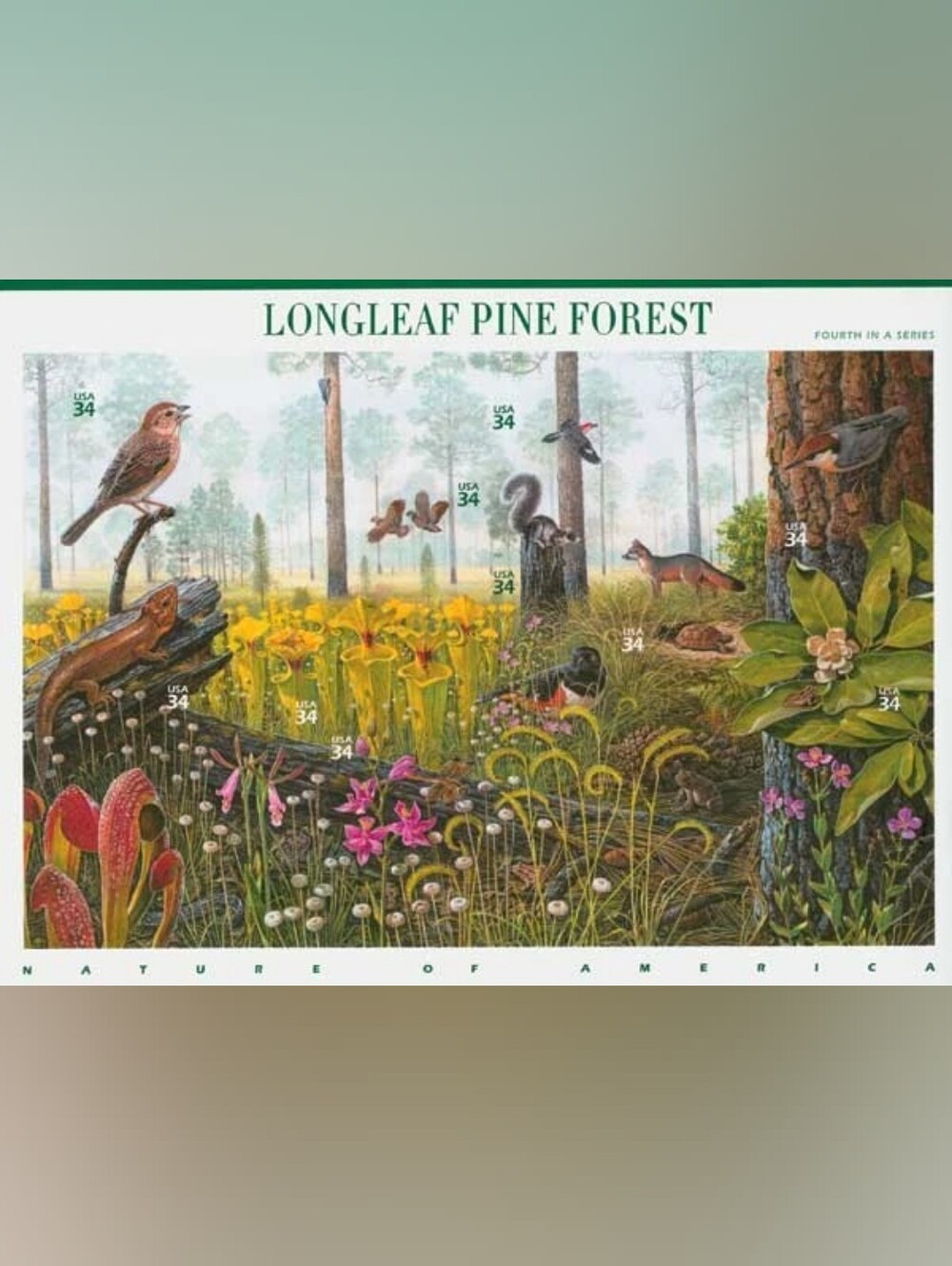 Longleaf Pine Forest (Nature of America), Full Sheet of 10 x 34-Cent Stamps